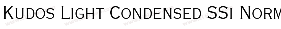 Kudos Light Condensed SSi Normal字体转换
